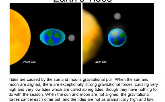 Moons gravitational pull