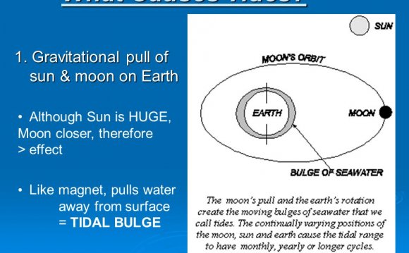Gravitational pull of Sun