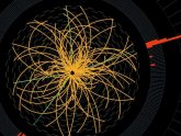 What is a Higgs boson?