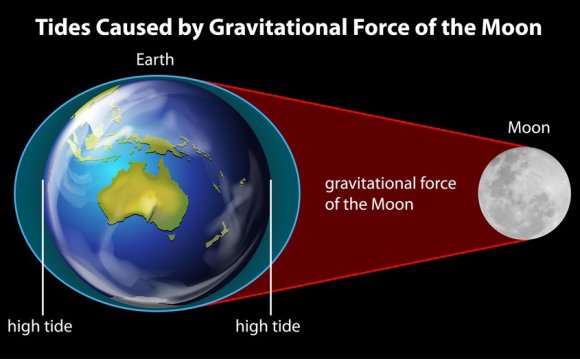What is the gravitational pull on Earth?