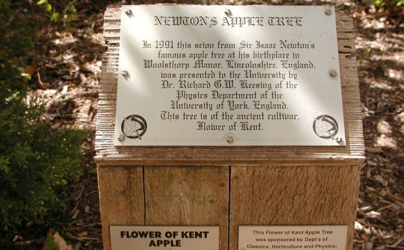 Newtons Apple Tree