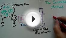 Hypothesis vs Theory vs Law - Science Skills 1B - PS